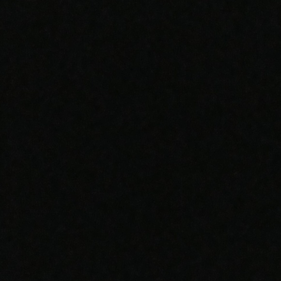 Meet your Posher, Hugo - Picture 1 of 1